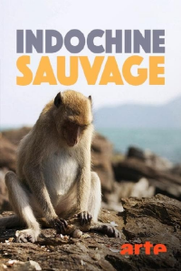 indochine sauvage