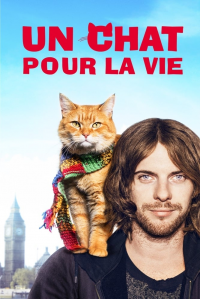 Un chat pour la vie streaming