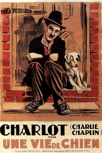 Une vie de chien