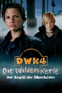 Die Wilden Kerle 4 streaming