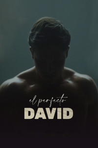 El perfecto David streaming