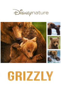 Grizzly streaming