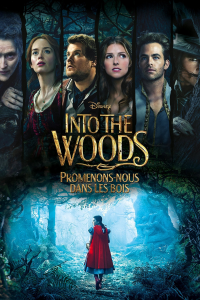 Into the Woods : Promenons-nous dans les bois streaming