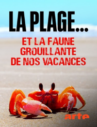 La plage... Et la faune grouillante de nos vacances streaming