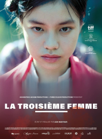 La Troisième femme streaming