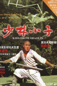 Les héritiers de Shaolin