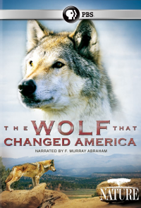 Lobo: The Wolf That Changed America streaming