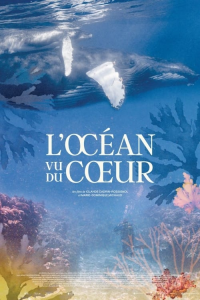 L'Océan vu du cœur streaming