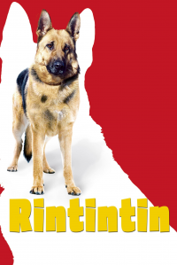 Rintintin streaming