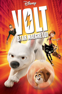 Volt, star malgré lui streaming