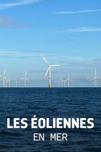 Les éoliennes en mer, quelle cohabitation avec la nature ? streaming