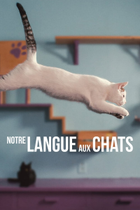 Notre langue aux chats