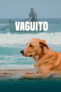 Vaguito streaming