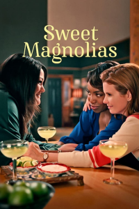 voir serie À l'ombre des magnolias en streaming