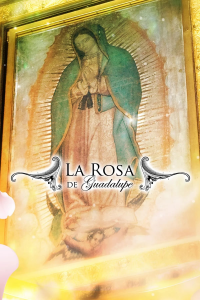 voir La rosa de Guadalupe saison 3 épisode 156