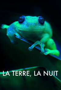 voir La Terre, La Nuit saison 1 épisode 2