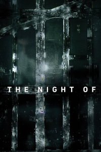 voir The Night Of saison 1 épisode 7