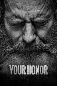 voir serie Your Honor en streaming