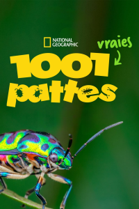 voir 1001 vraies pattes saison 1 épisode 4