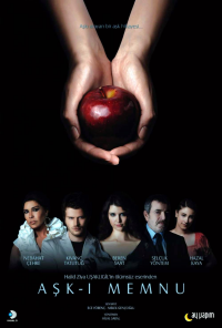 voir Aşk-ı Memnu saison 1 épisode 9