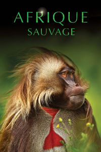 voir serie Afrique sauvage en streaming