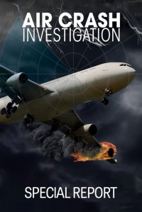 voir Air Crash Investigation: Special Report saison 5 épisode 5