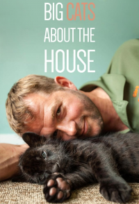 voir serie Big Cats About The House en streaming