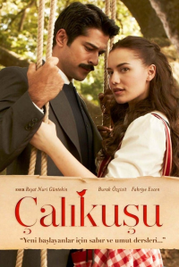 voir Çalıkuşu saison 1 épisode 30