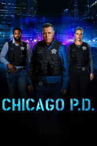 voir Chicago Police Department Saison 4 en streaming 