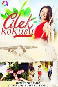 voir serie Çilek Kokusu en streaming