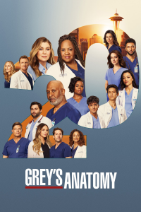 voir Grey's Anatomy Saison 16 en streaming 