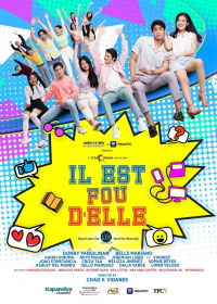 voir serie Il Est Fou D'elle en streaming