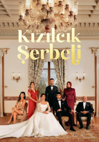 voir serie Kızılcık Şerbeti en streaming