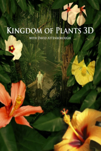 voir serie Kingdom of Plants en streaming