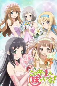 voir serie Kono Naka Ni Hitori, Imouto Ga Iru ! en streaming