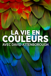 voir La Vie en couleurs avec David Attenborough Saison 1 en streaming 