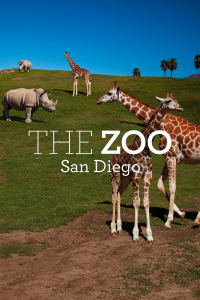 Le zoo de San Diego