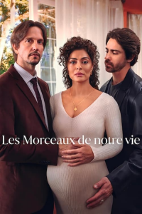 voir serie Les Morceaux de notre vie en streaming