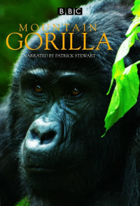 voir serie Mountain Gorilla en streaming