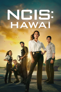 voir NCIS : Hawaï saison 3 épisode 8