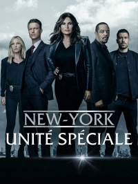 voir New York Unité Spéciale Saison 3 en streaming 