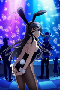 voir Rascal Does Not Dream of Bunny Girl Senpai Saison 1 en streaming 