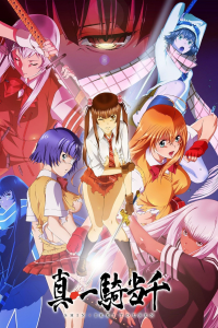 voir serie Shin Ikki Tousen en streaming