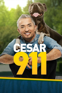 voir SOS César saison 3 épisode 5