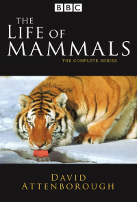 voir serie The Life of Mammals en streaming