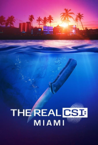 voir serie The Real CSI: Miami en streaming