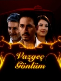 voir Vazgeç Gönlüm saison 1 épisode 25