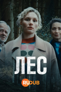 voir Wäldern Saison 1 en streaming 