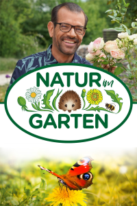 Natur im Garten